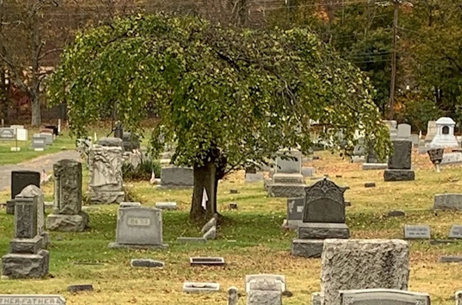 STANHOPE UNION CEMETERY Home
